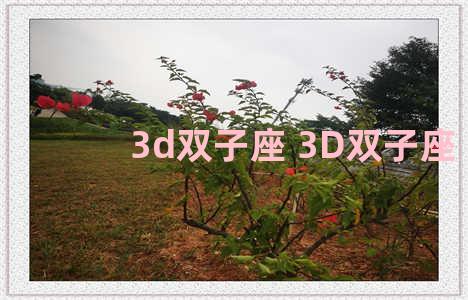 3d双子座 3D双子座